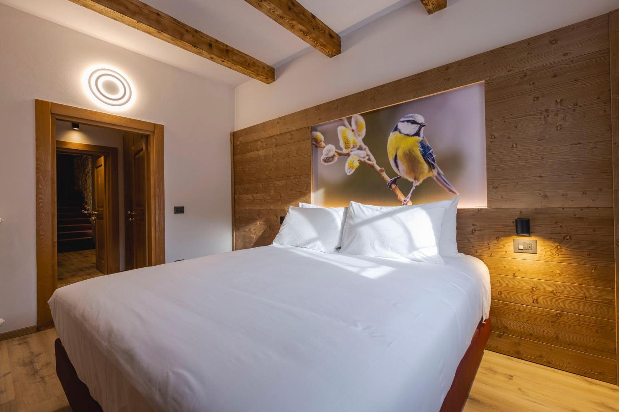 Granduca Mountain Wellness Apartments Campigna Kültér fotó